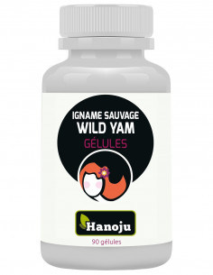 Igname Sauvage - Wild Yam - 90 gélules de 500 mg