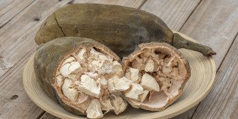 Poudre de baobab : Zoom sur les bienfaits